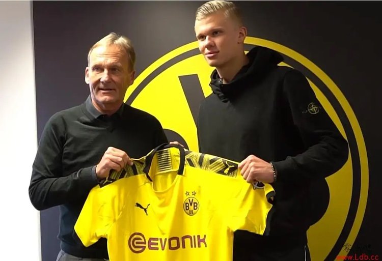 性与团战开 性与团战开