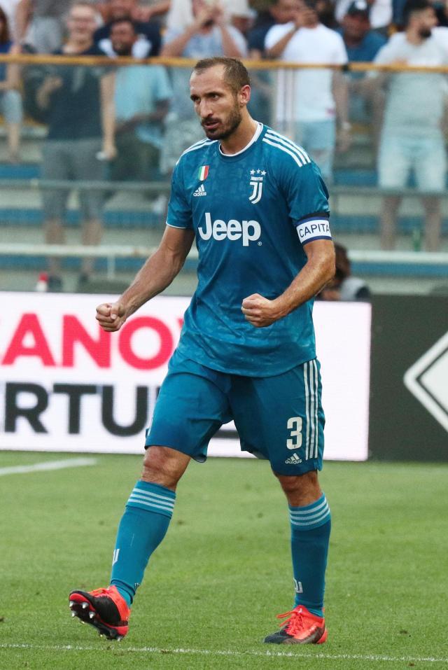 观赛体验 观赛体验